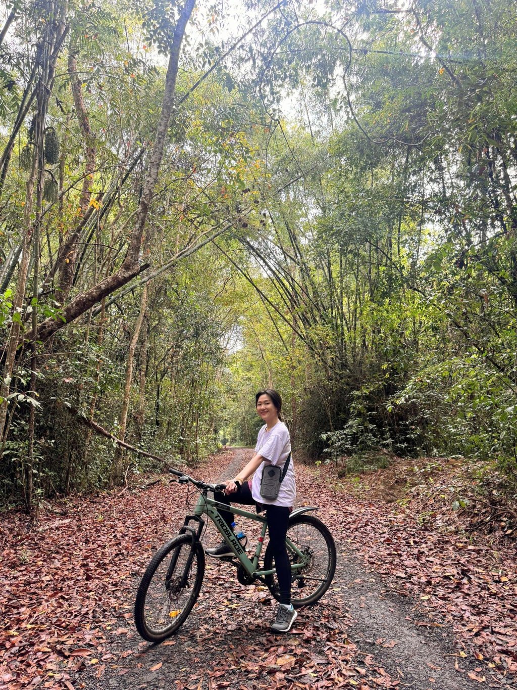 Tản mạn 1 chút. Về&nbsp;rừng