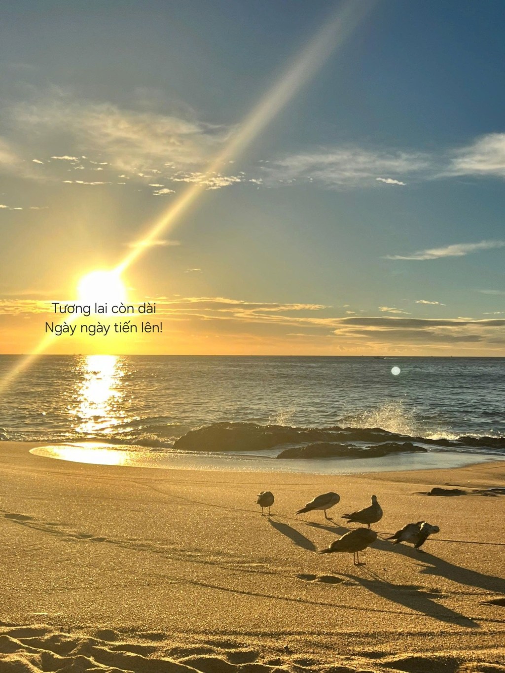 Bước ra khỏi vùng an toàn để lớn&nbsp;lên